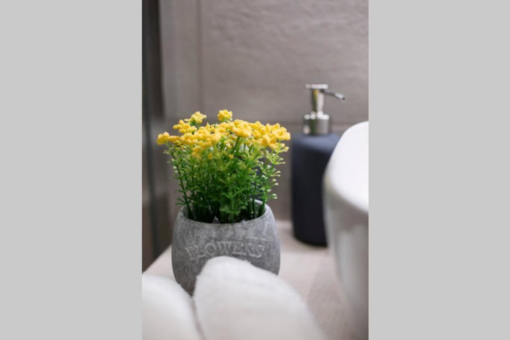 City Center Modern Renovated Apartment Athens Ngoại thất bức ảnh